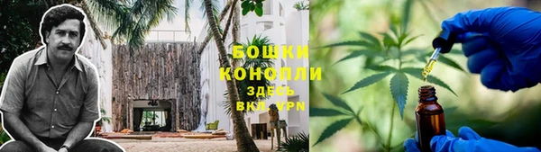 эйфоретик Белоозёрский