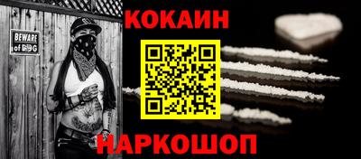 бошки Кингисепп