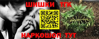бошки Кингисепп