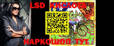бошки Кингисепп