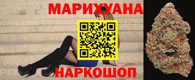 бошки Кингисепп