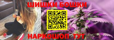 бошки Кингисепп