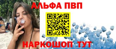 бошки Кингисепп