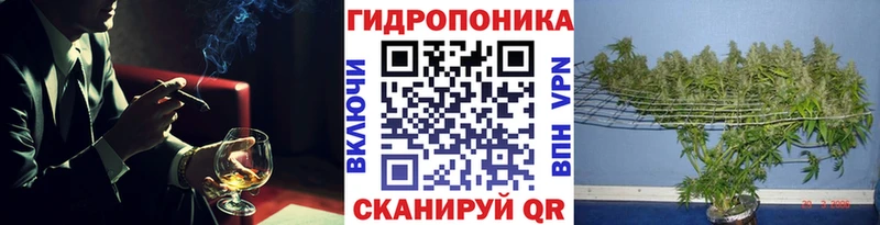 цена   Кстово  Шишки марихуана сатива 